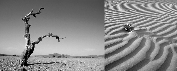 MO_Morocco, Dessert BW 400x989 q10